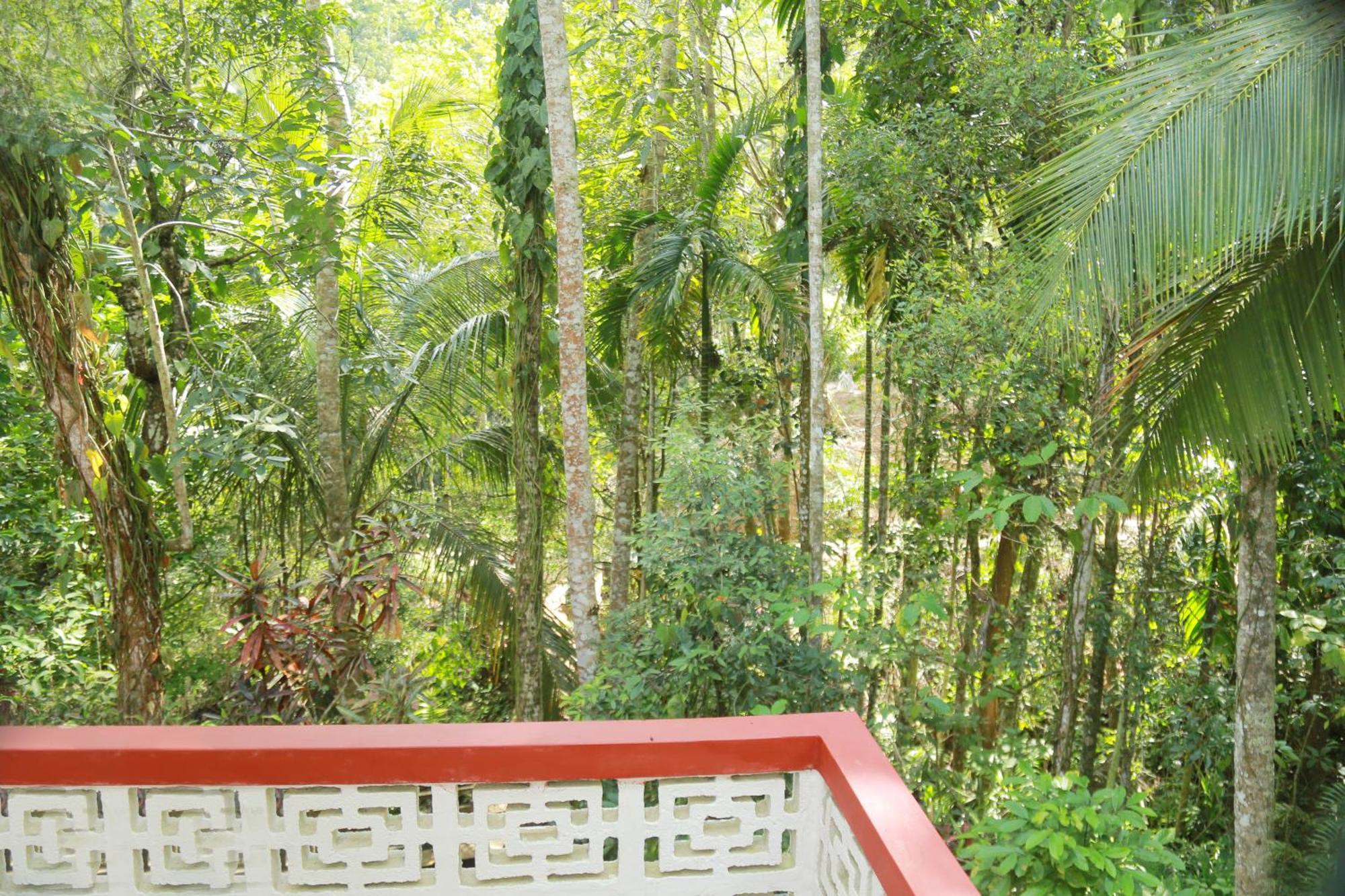 Serene Scene Eco Hotel