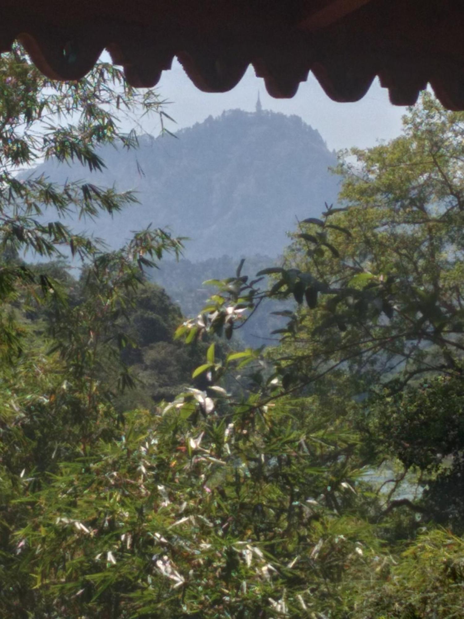 Okaya Kandy