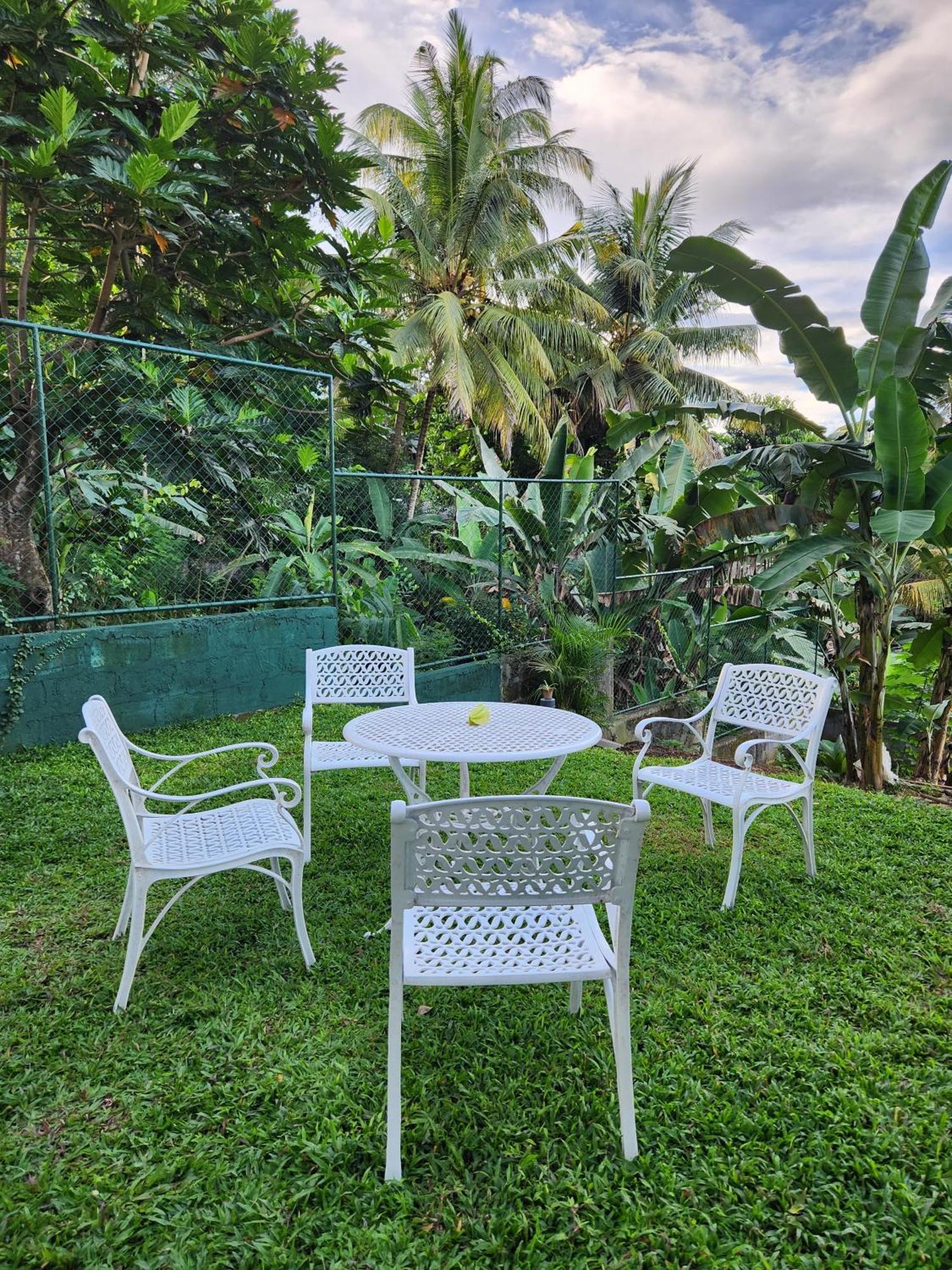 Bed & Breakfast Cozy Cove Kandy