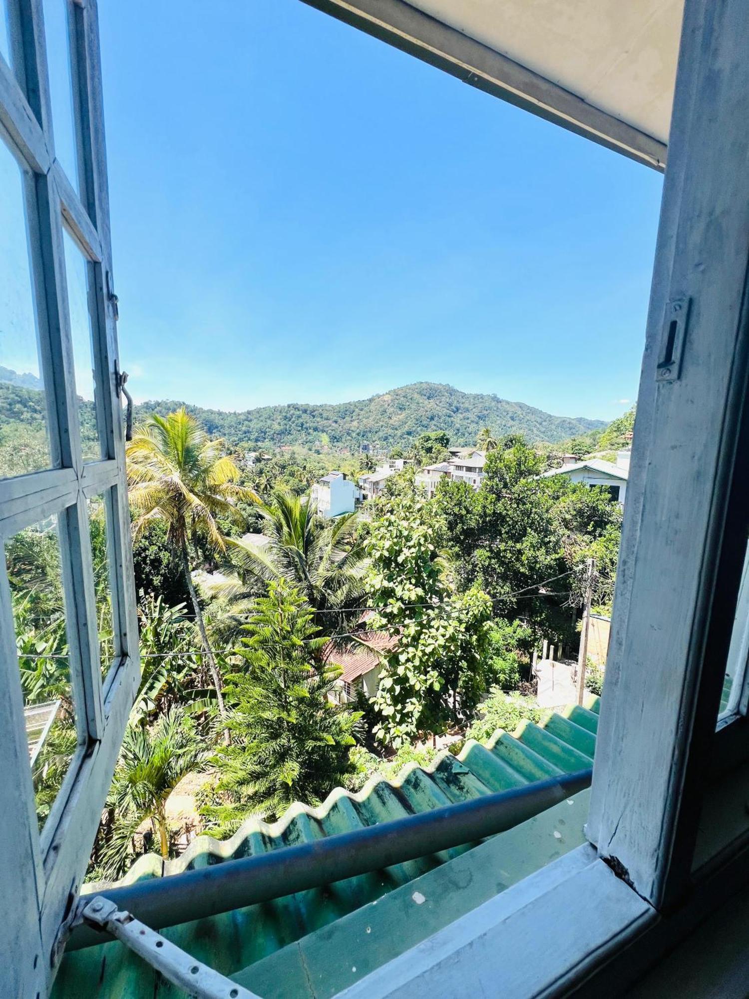 New Blue Mount View