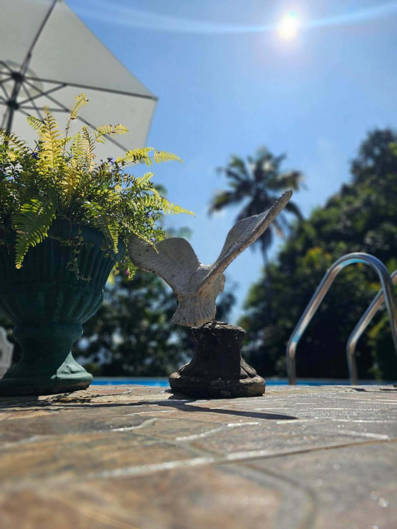 Villa Galkanda Walawwa