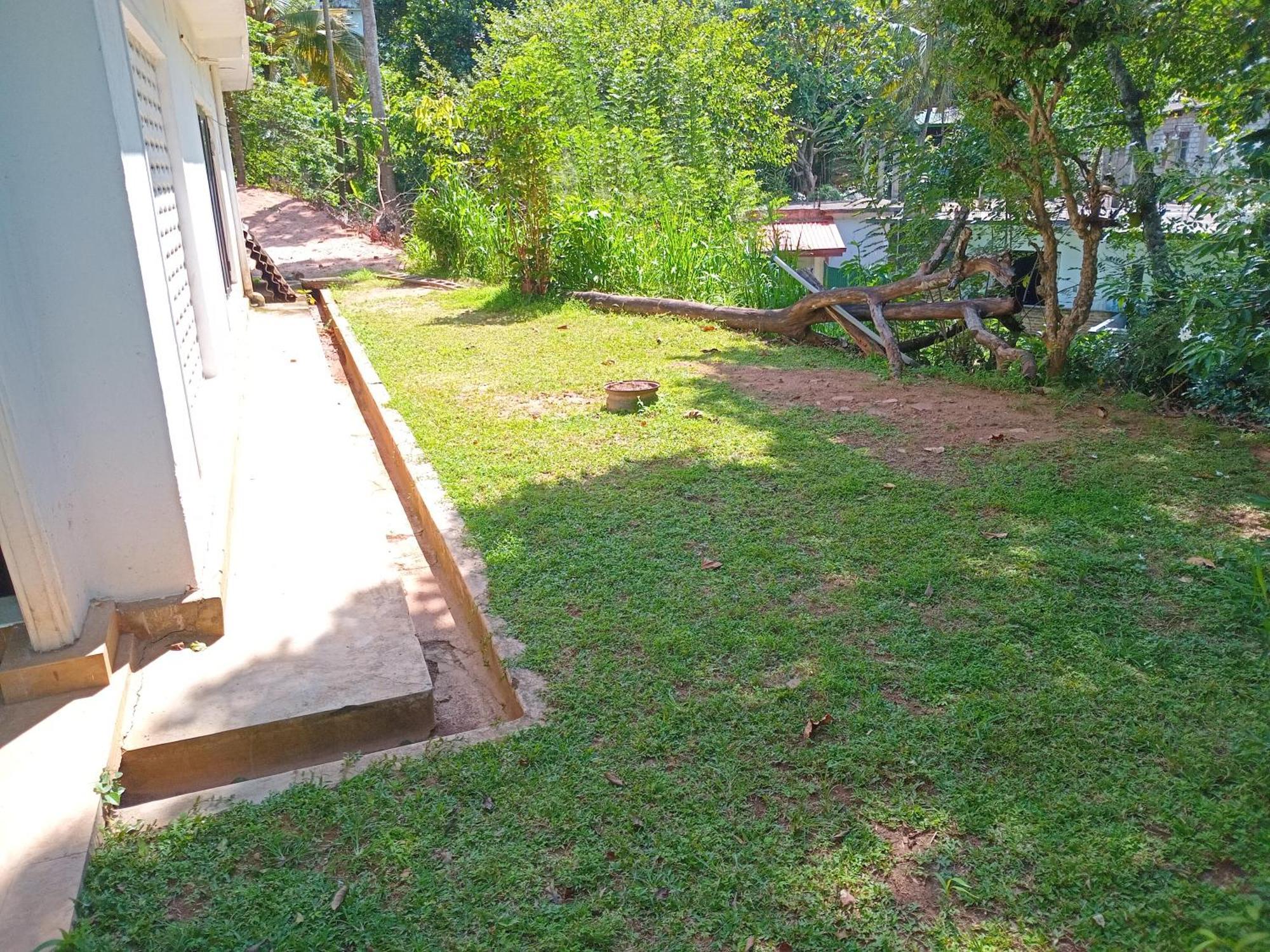 Blue Haven Hostel *