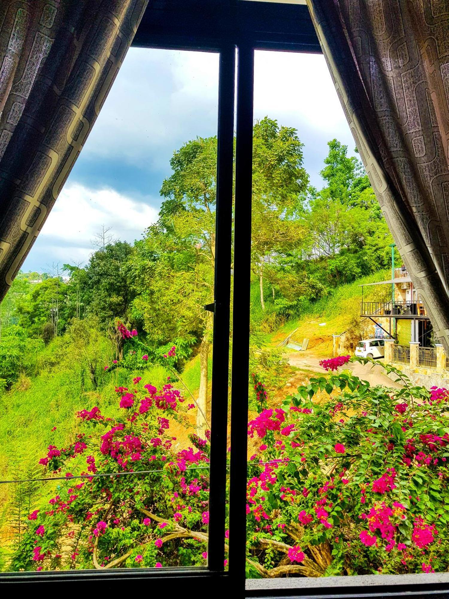 Lush Breeze Guest house *