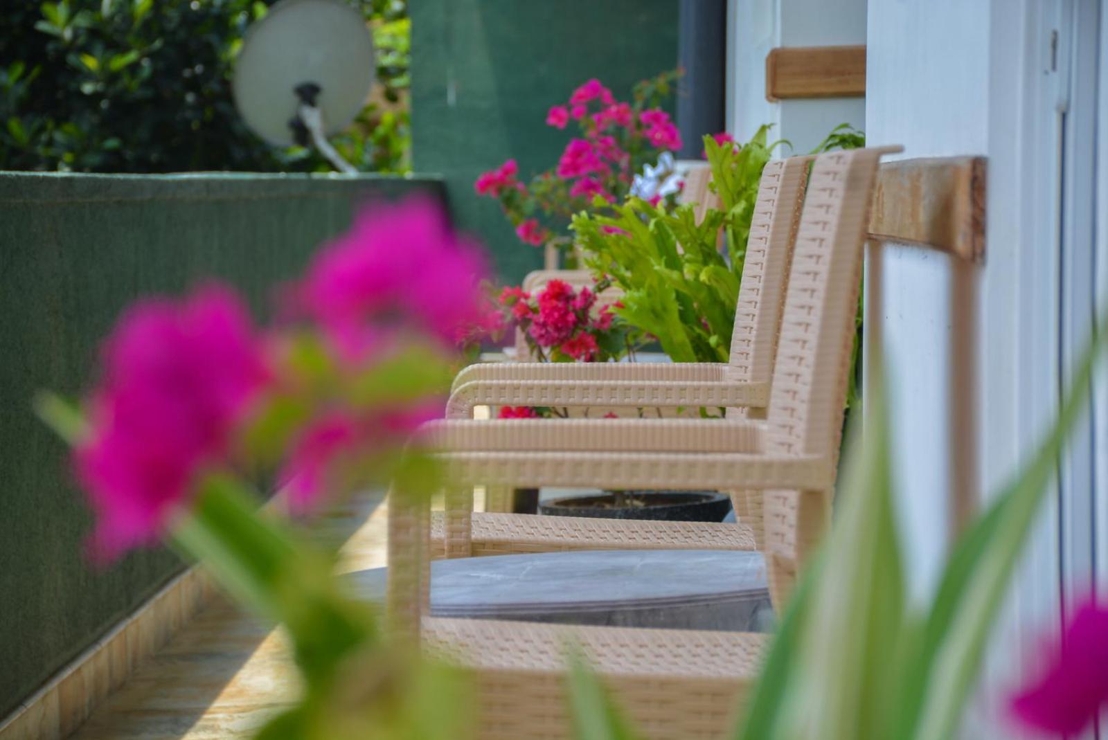Mountain View Homestay *