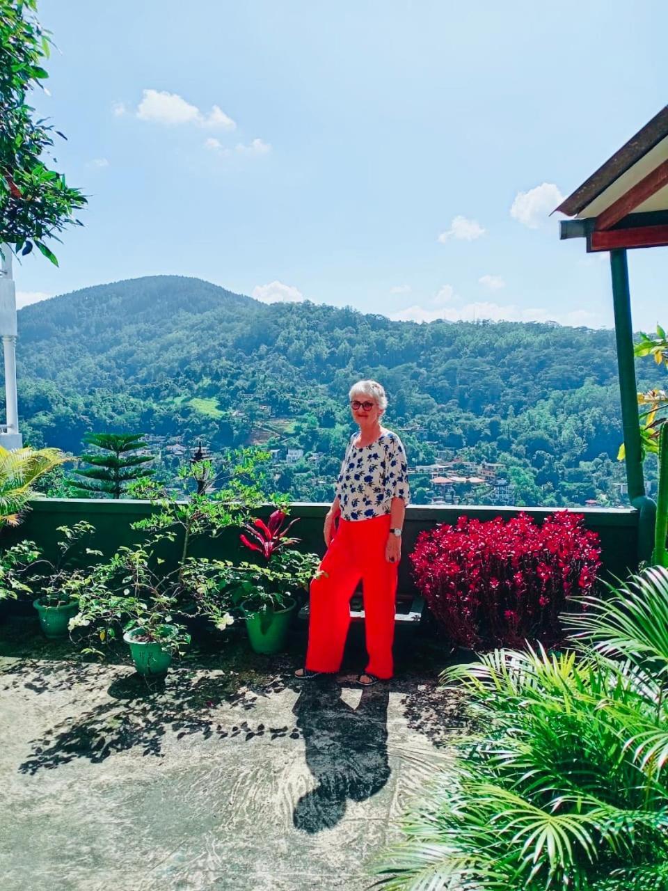 Mountain View Homestay *