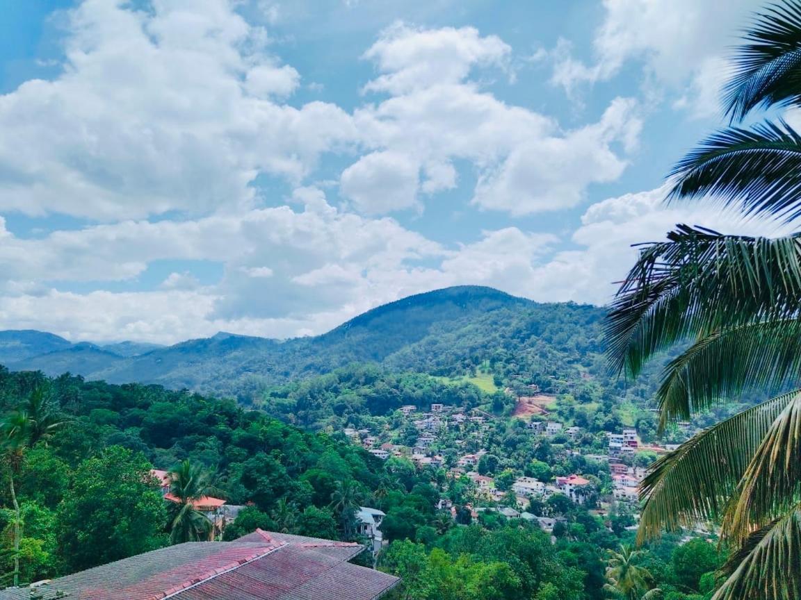 Homestay Mountain View *