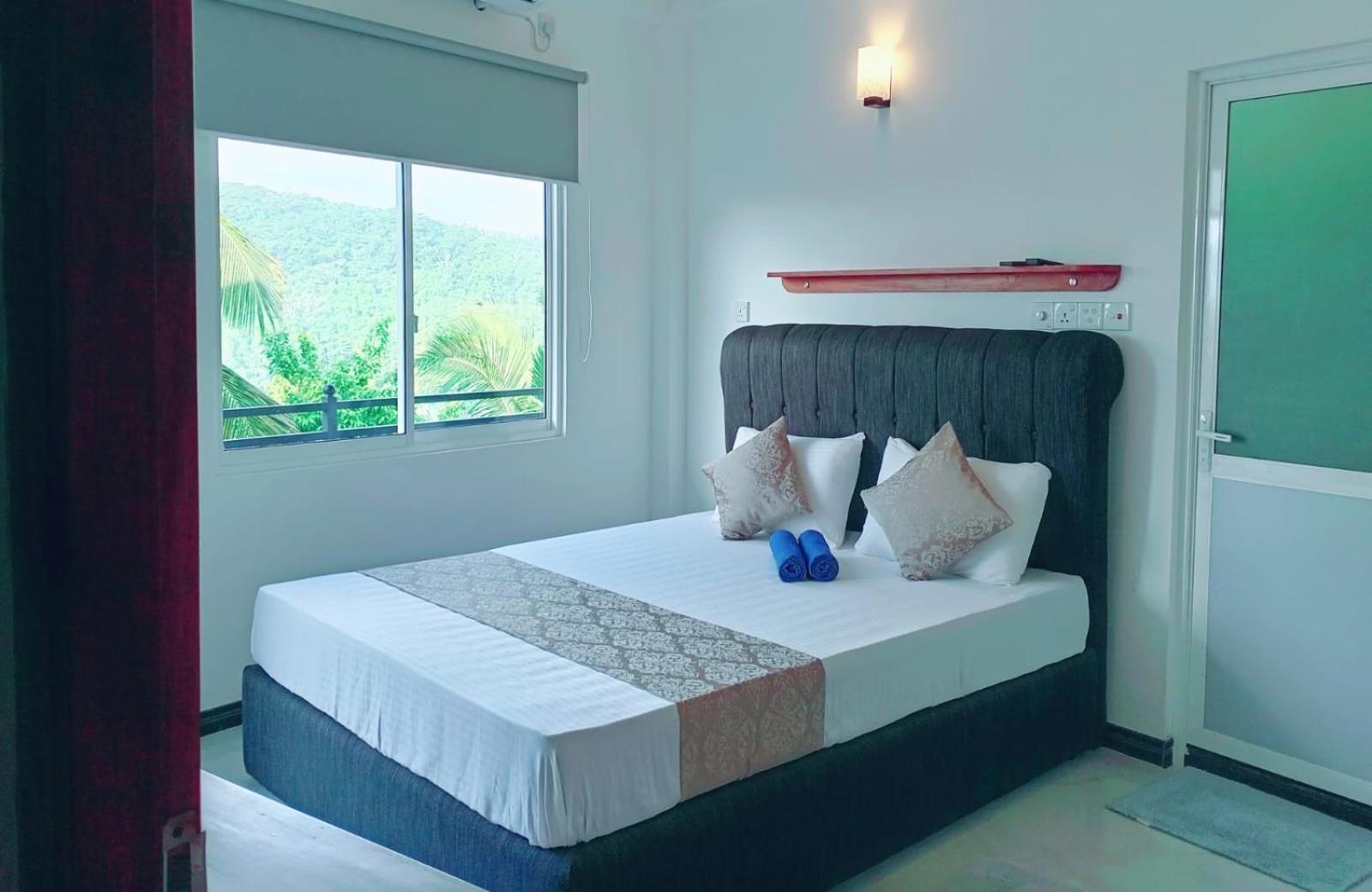 Homestay Mountain View