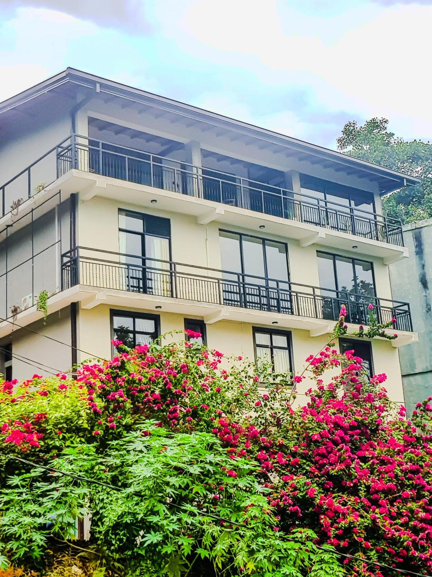 Lush Breeze Mount View Guest house *