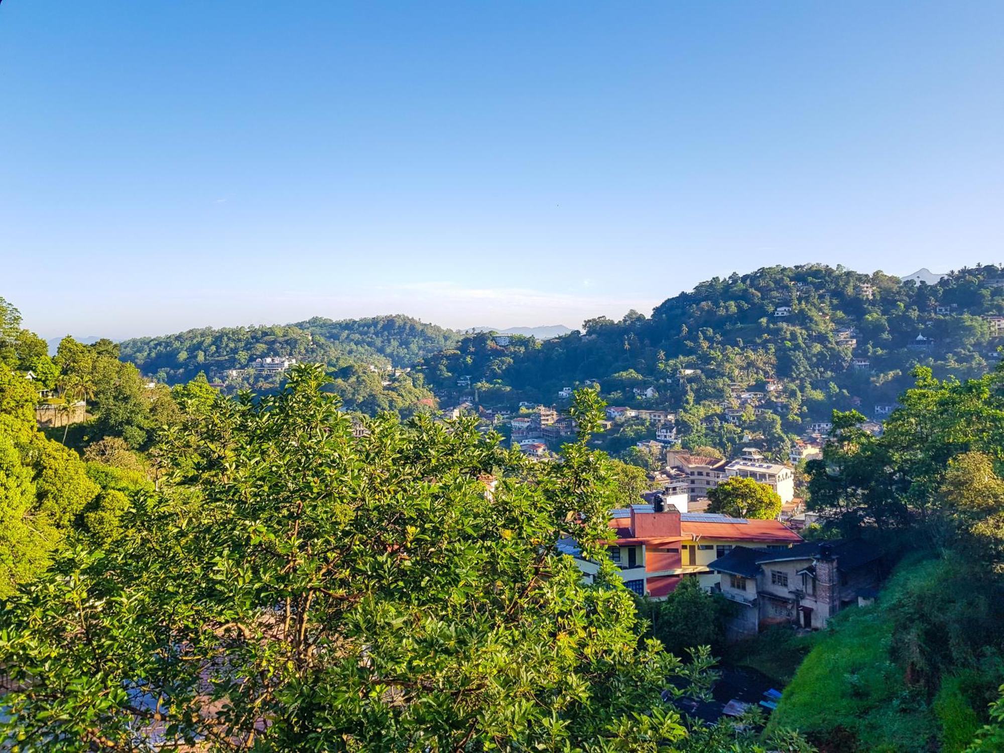 Lush Breeze Mount View *