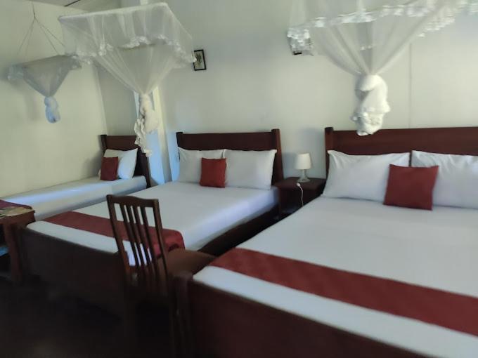 River Ivy's Guest house