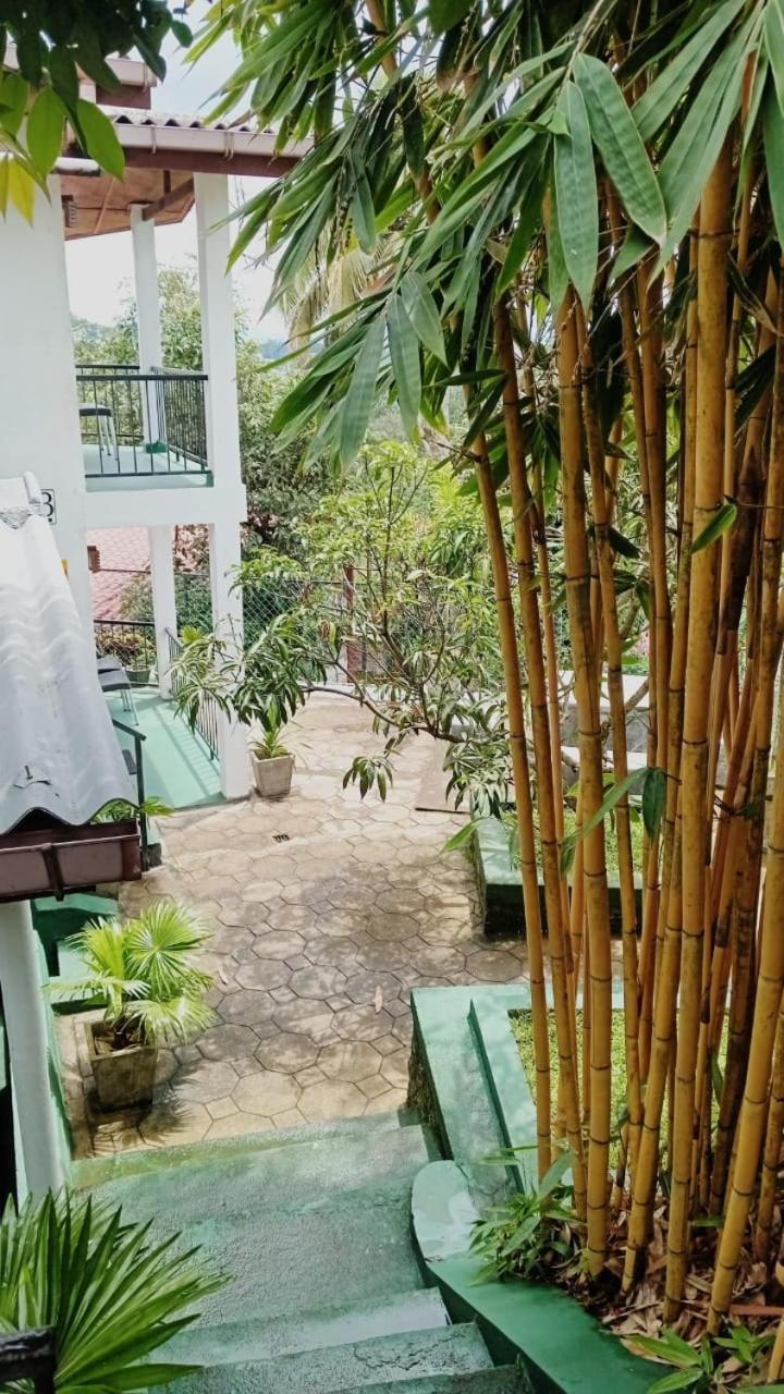 Homestay Jily *