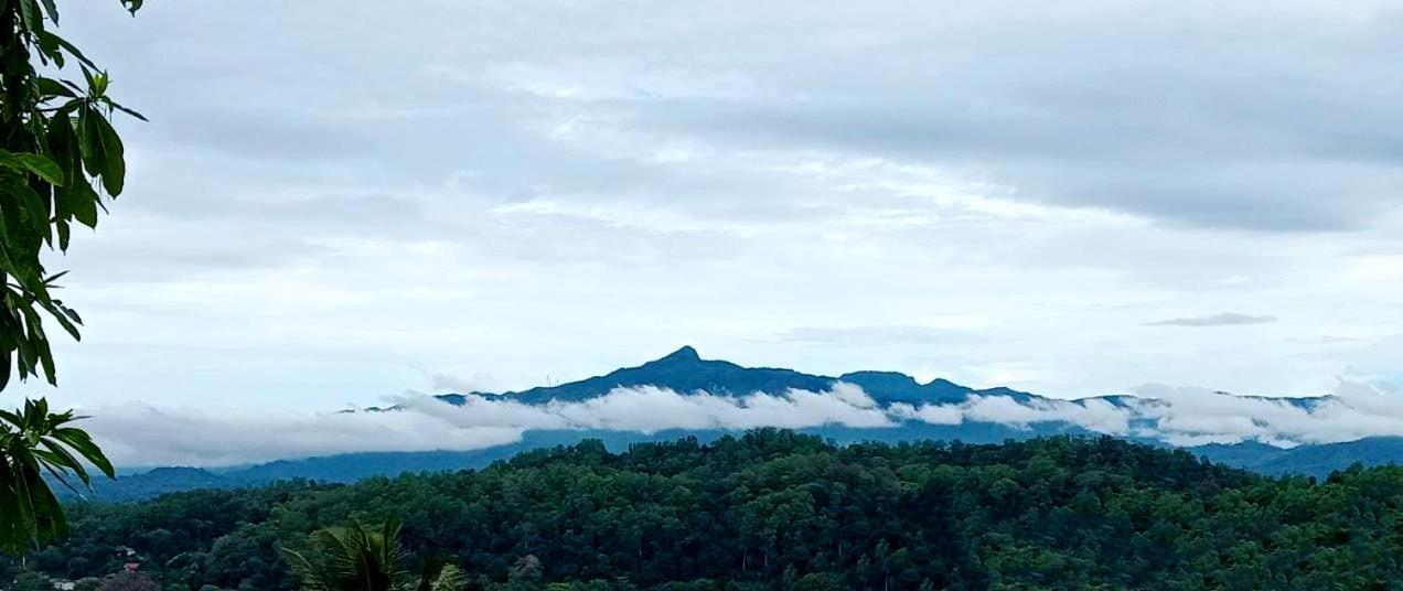 Homestay Jily Kandy
