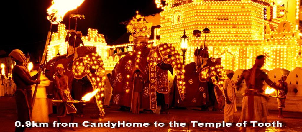Candy Homestay *