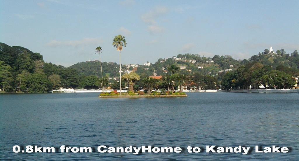 Candy * Kandy