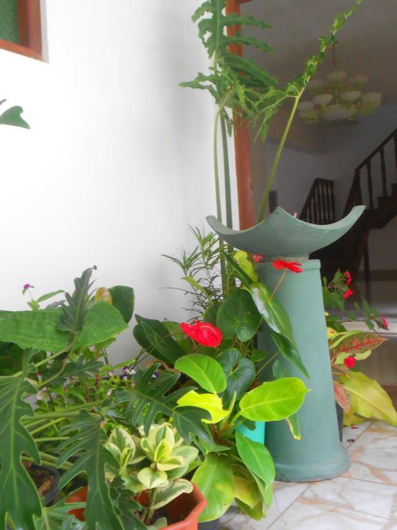Beam Bed & Breakfast Kandy
