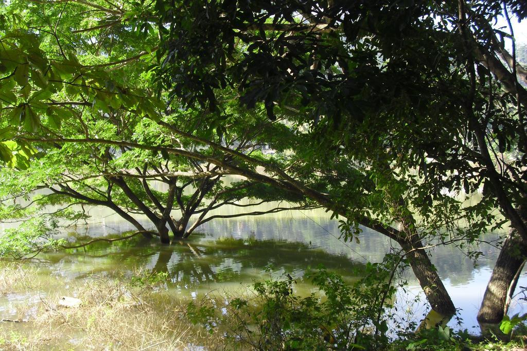 River Side * Kandy