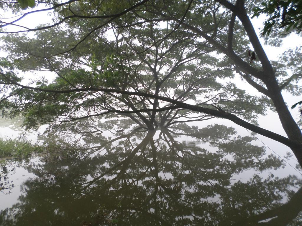 River Side *