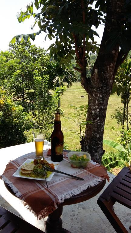 Country house Paradise *