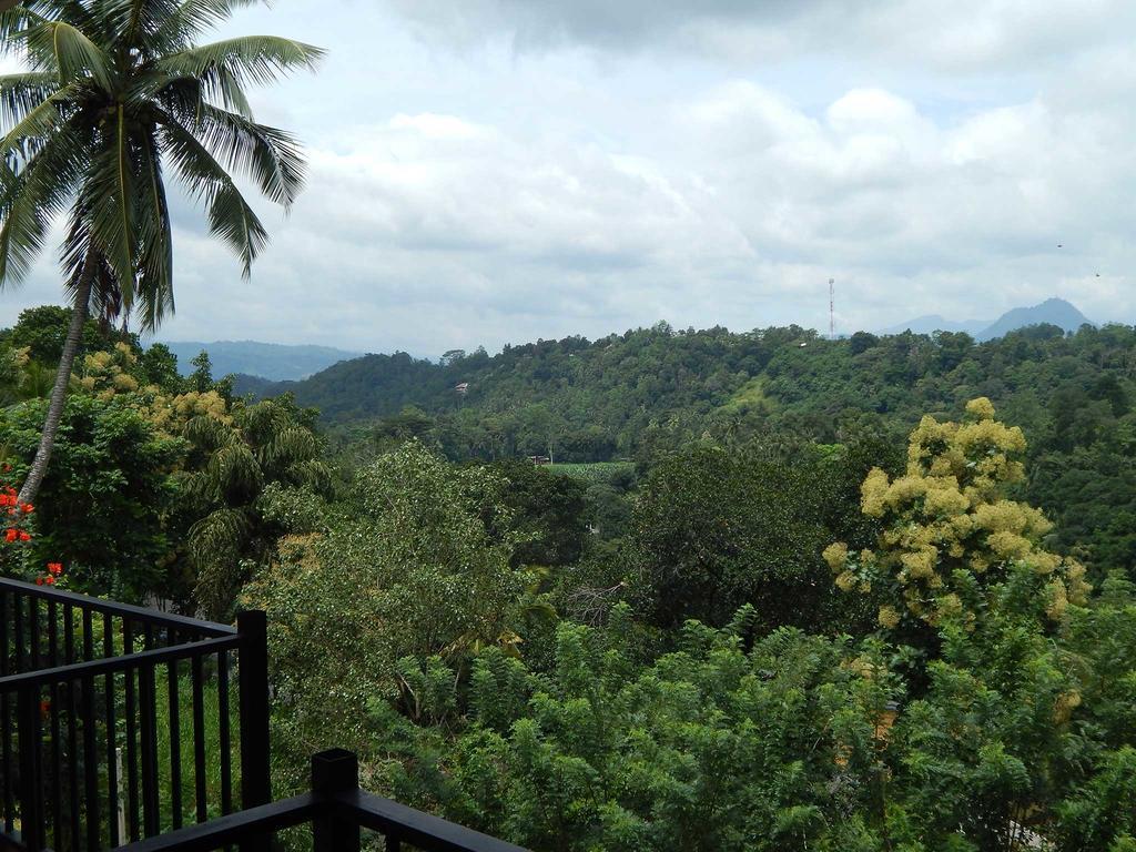 Guest house Chaya Hills *