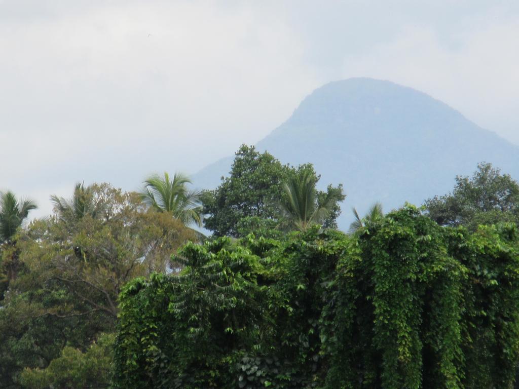 Resort Nature Walk