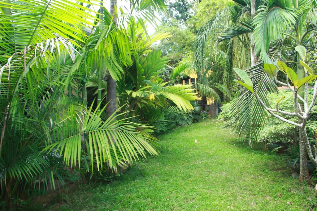 Traditional Kandyan House Homestay *