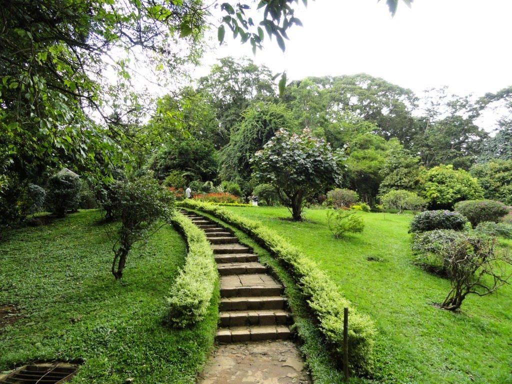 Settle Tourist Kandy