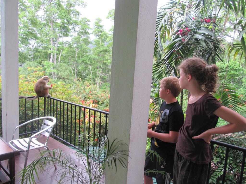 Homestay Hanthana Kandy