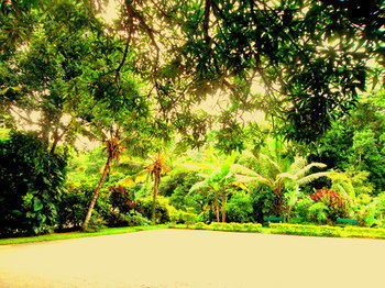 Paradise Hotel
