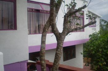 Blossom Rest