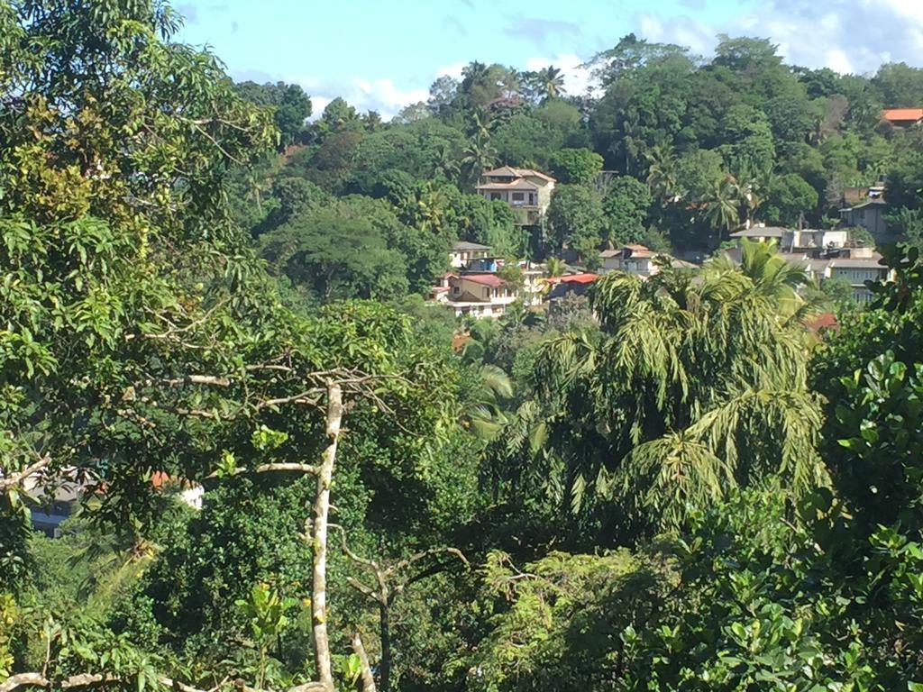 Birds Hill Homestay *