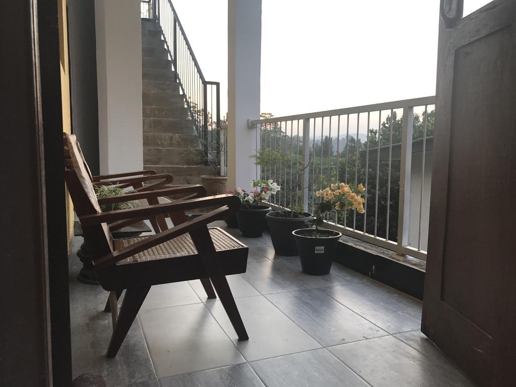 Forest View - No: 50/17 *