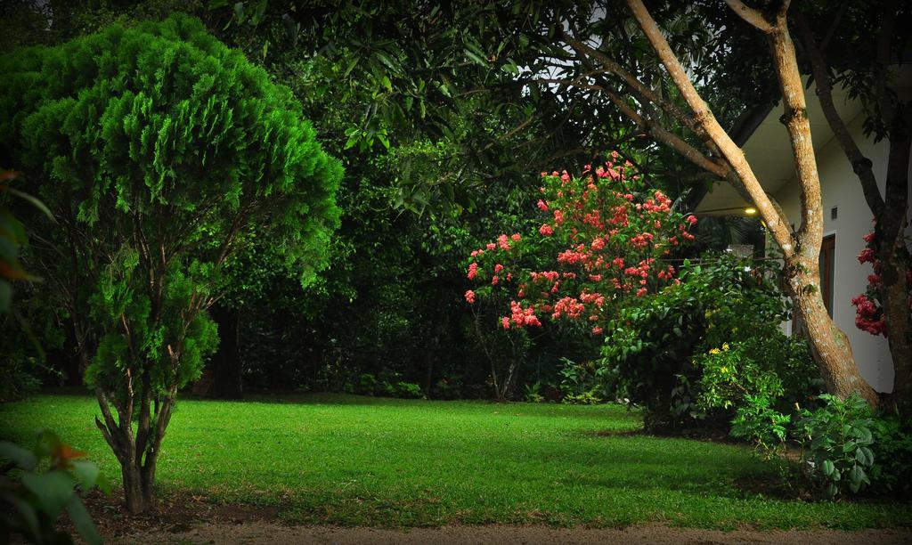 Homestay Knight's Heaven *