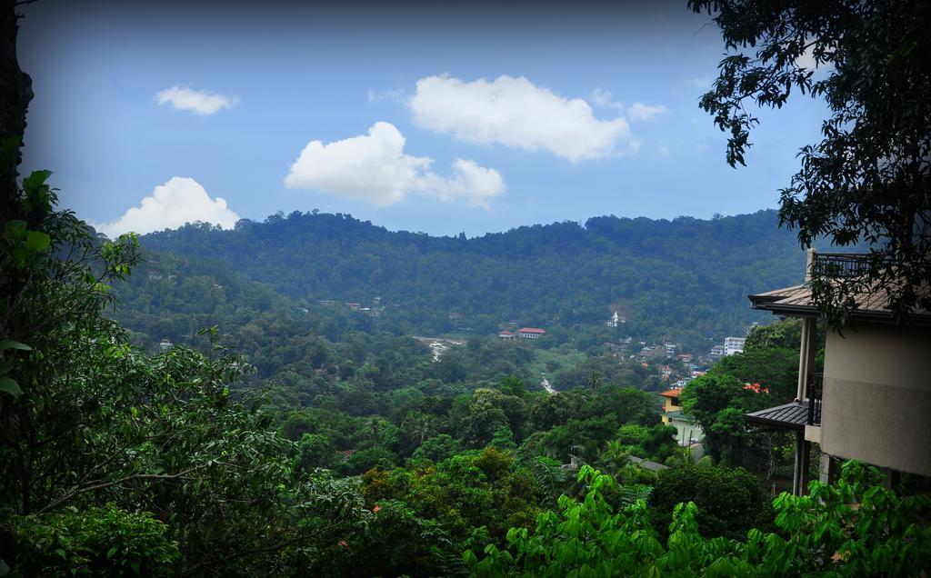 Homestay Knight's Heaven