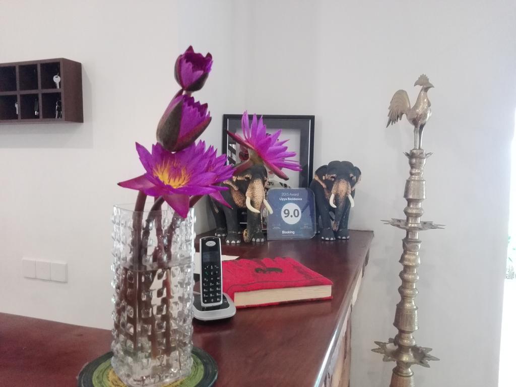 Vista Liyya