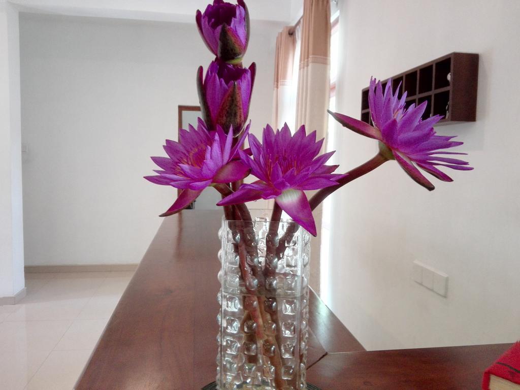 Vista Liyya 3* Kandy
