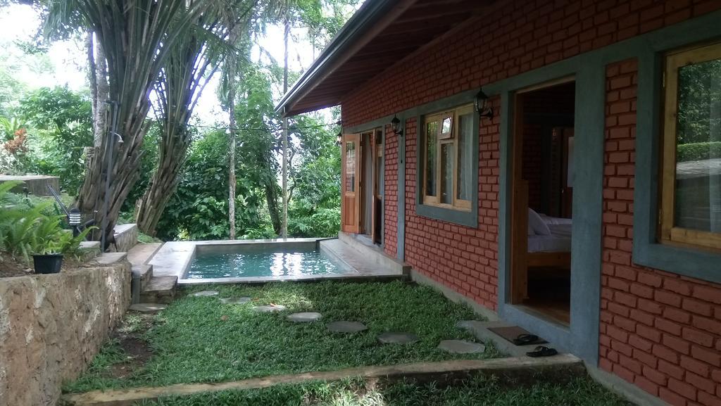 Homestay Tea Leaf Retreat
