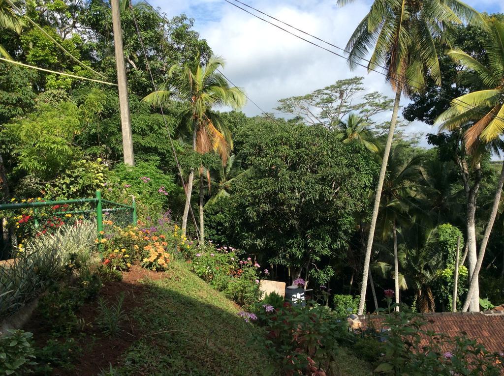 Windy Ridge Guest house Kandy