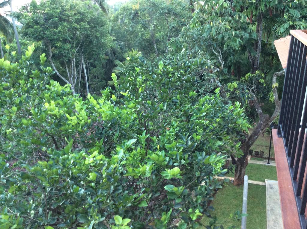 Windy Ridge Kandy