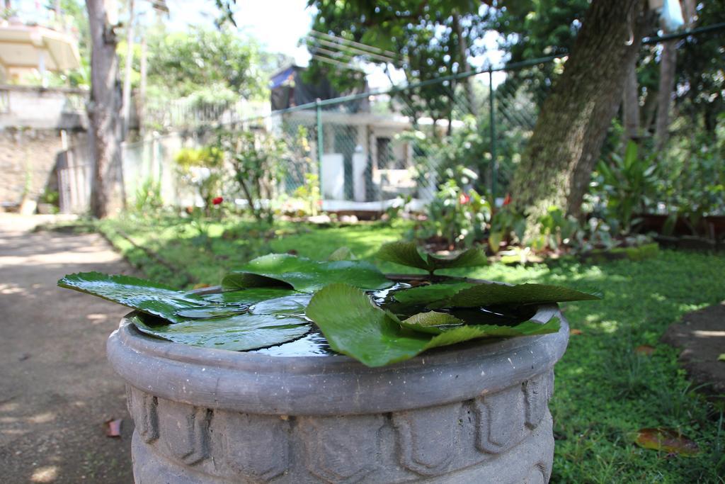 Mahaweli Shades Kandy