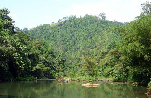 Villa Sandalwood Kandy