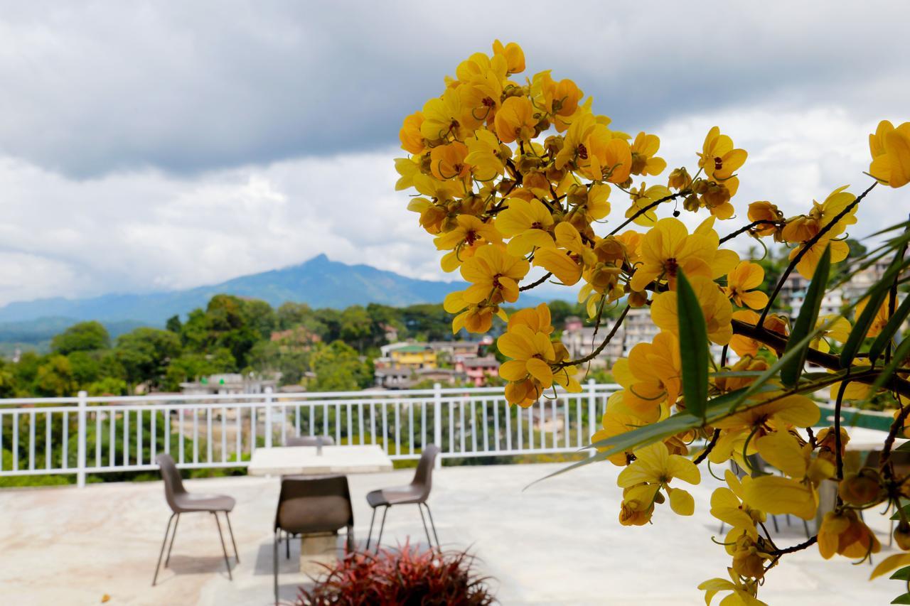 Guest house Serene
