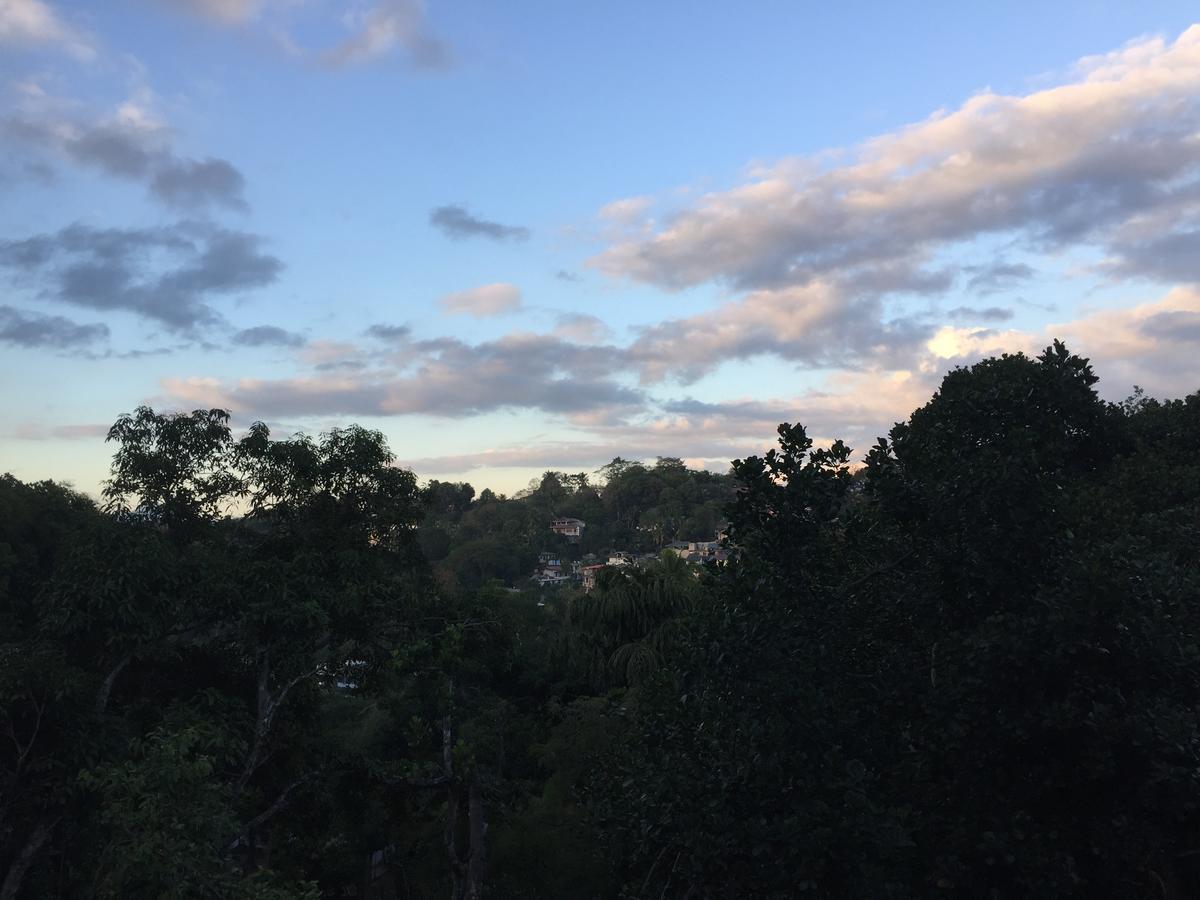 Birds Hill