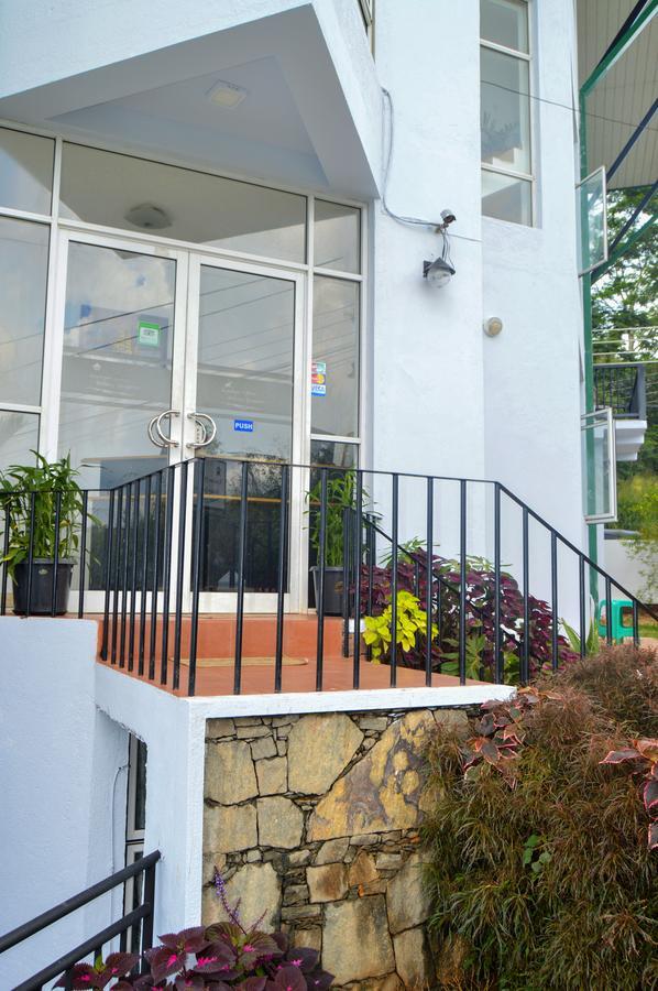 Mountain View Bed & Breakfast