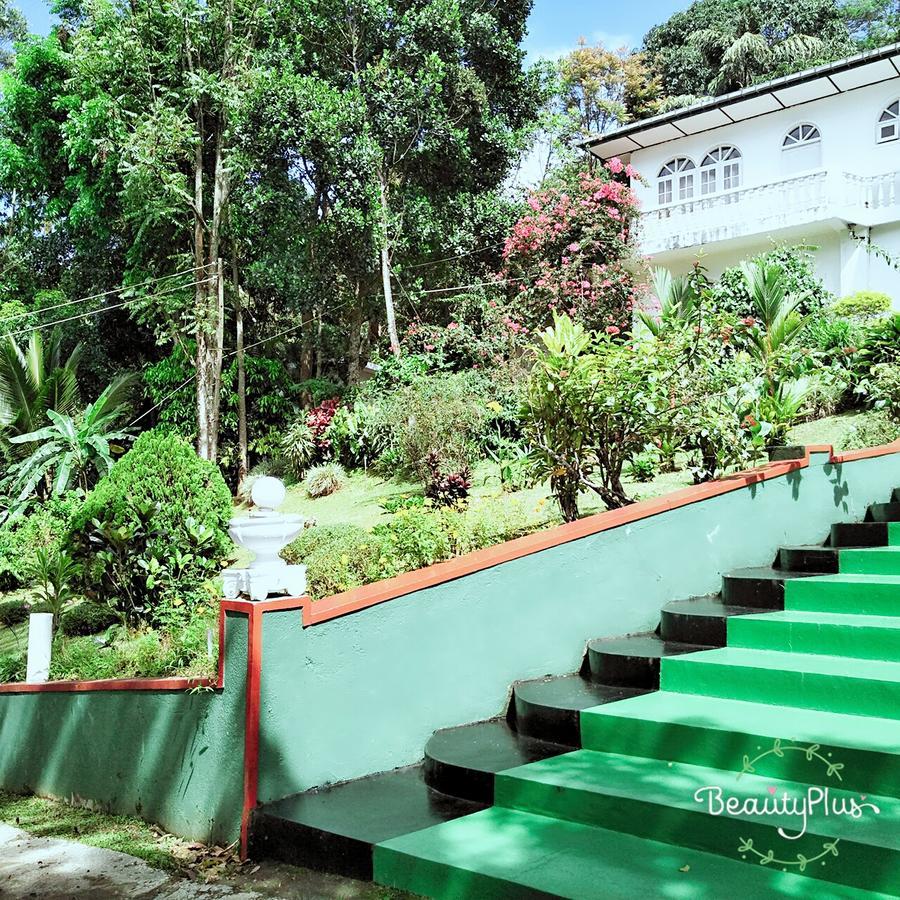 Royal Mount Hotel *