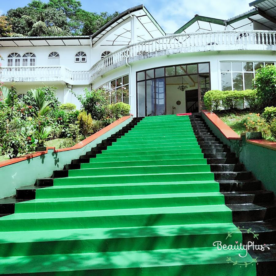 Royal Mount *