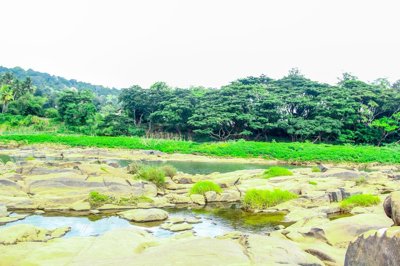 Country House Lodge 3* Kandy