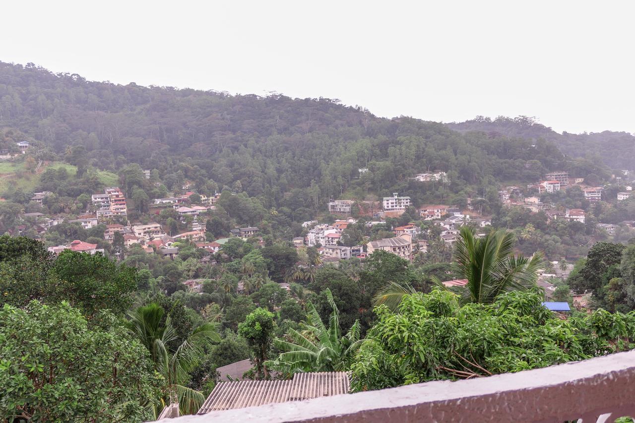 Lodge Nature View