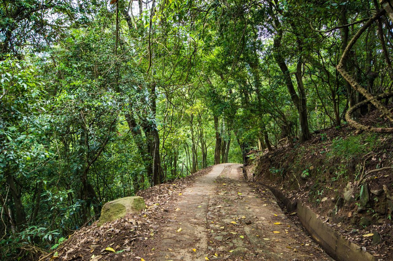 Lodge Udawatta Kele