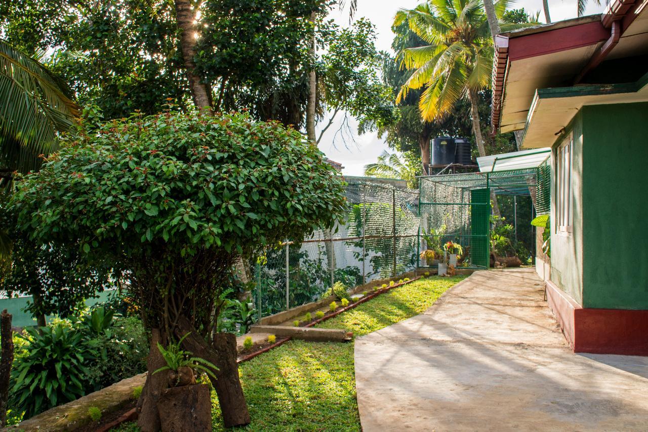 Udawatta Kele Lodge *