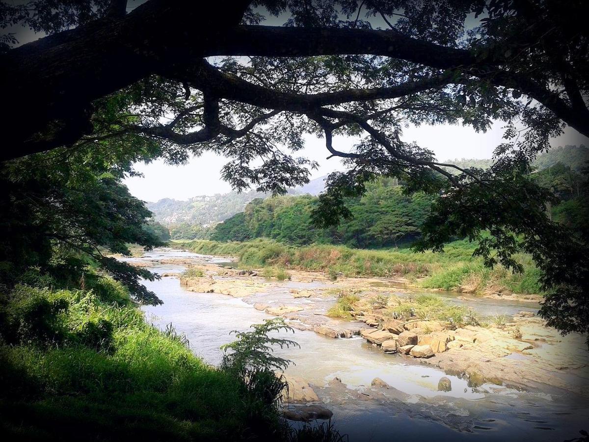 Nice Place